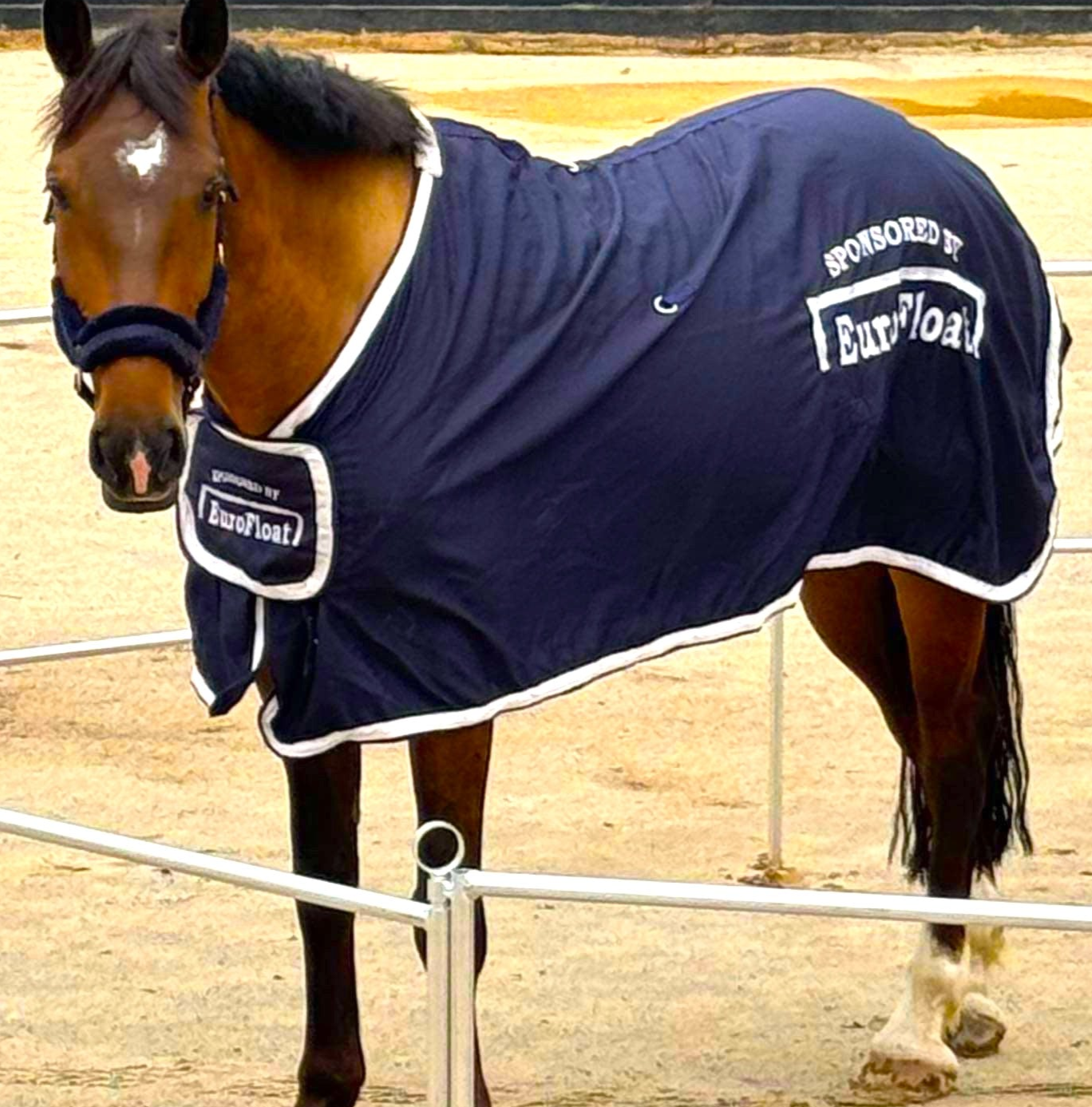 Horse Yard Panels - includes mounting kit